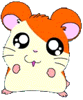 HAM HAM